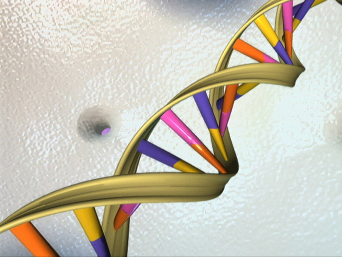 DNA em dupla hélice por NHGRI NIH