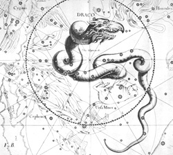Draco na Uranographia de Hevelius