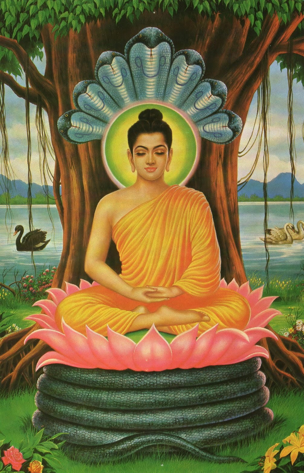 Buddha figure in meditation