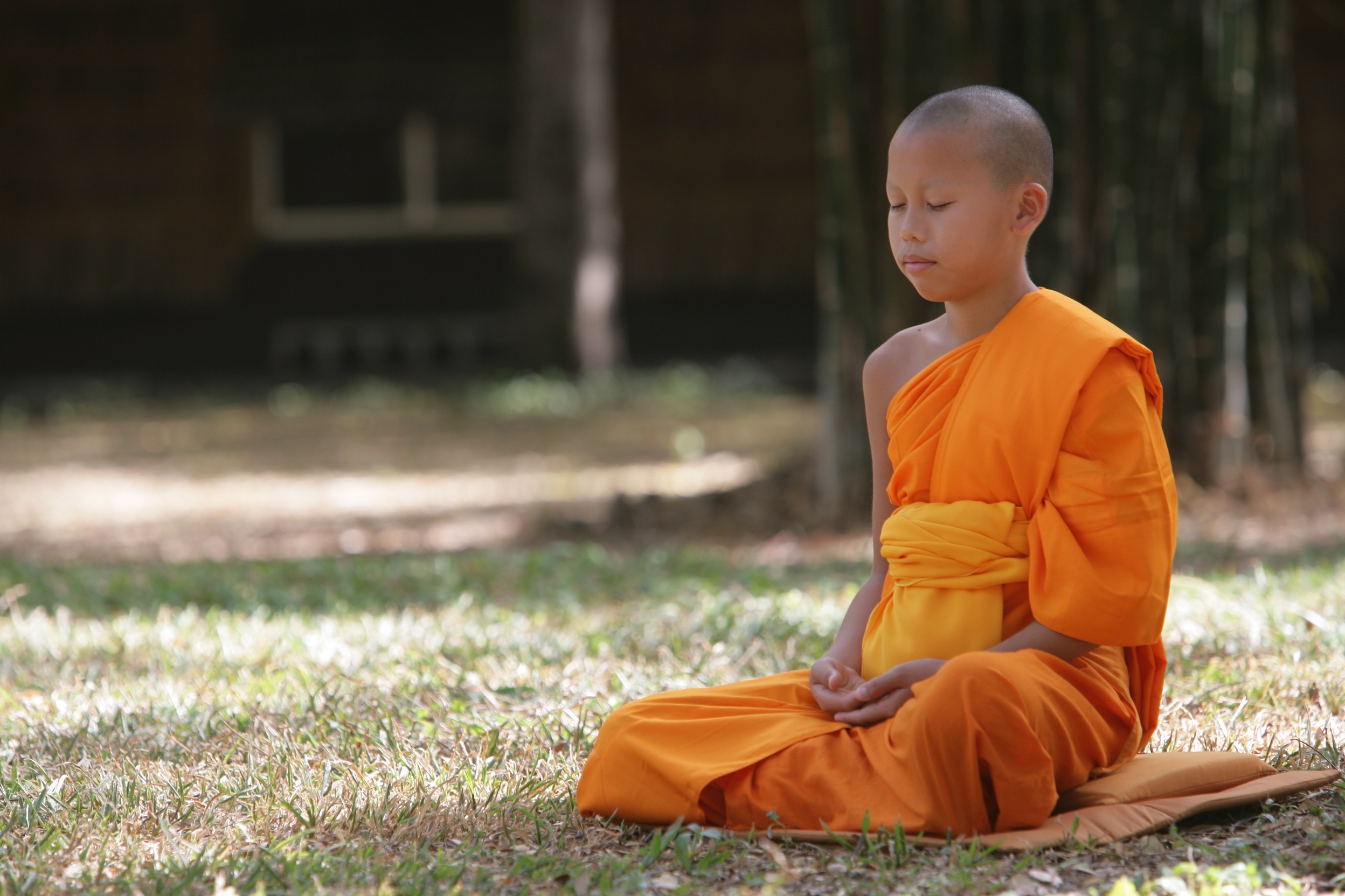 Noviço meditando em ambiente de floresta