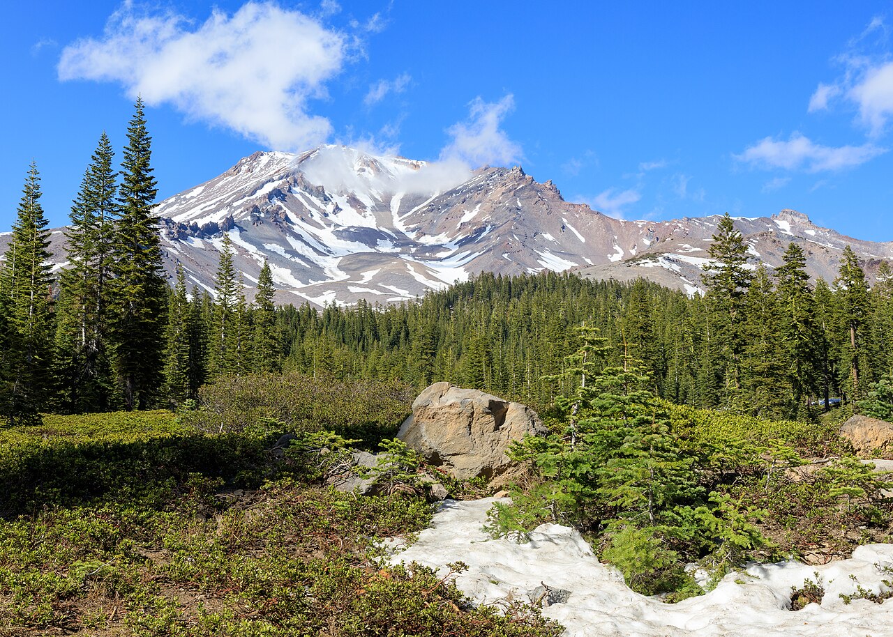 Monte Shasta visto de Bunny Flat