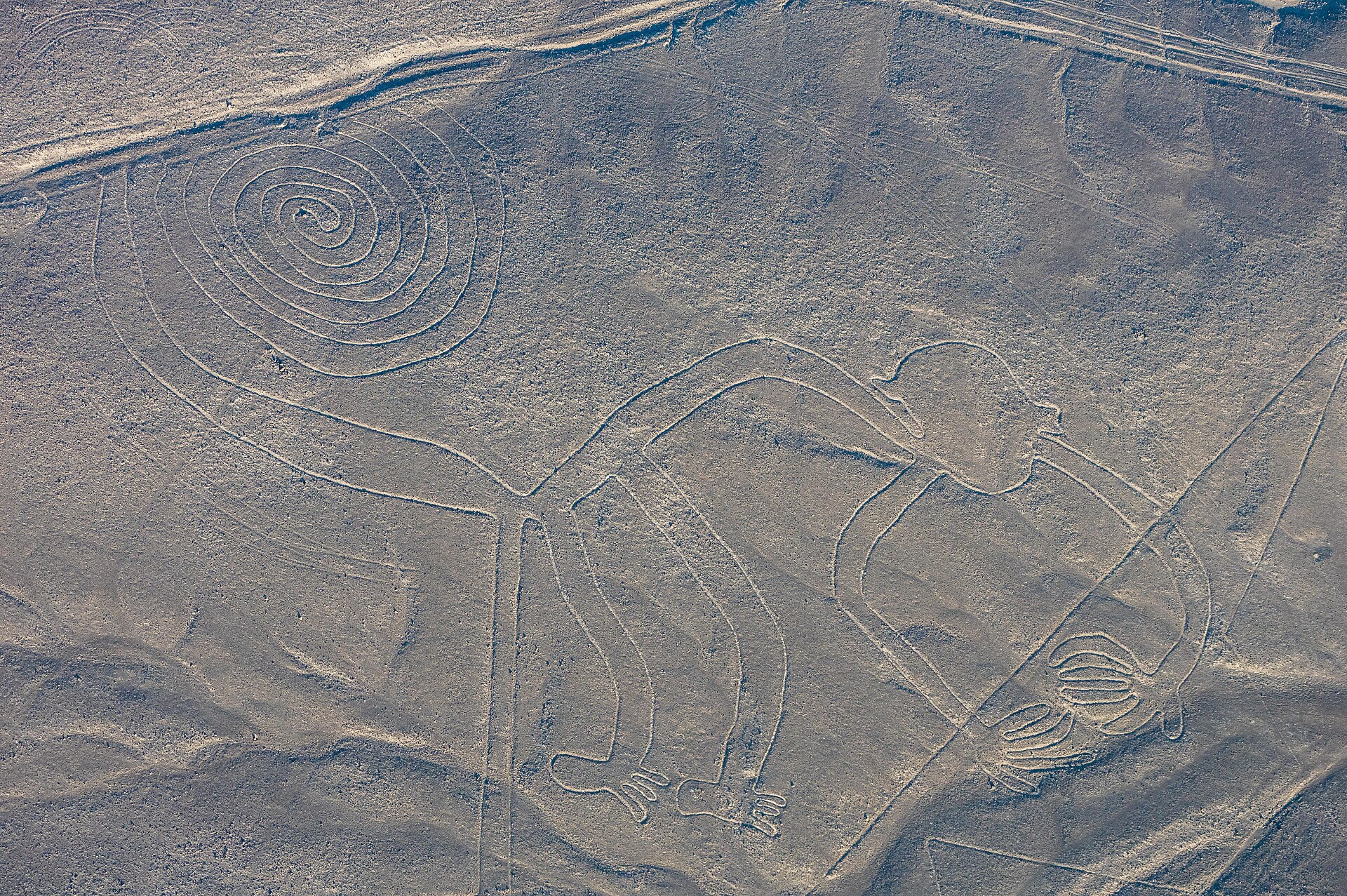 Geoglifo do macaco nas Linhas de Nazca