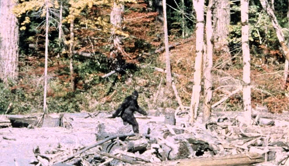 Quadro do filme Patterson-Gimlin mostrando figura bípede escura em clareira